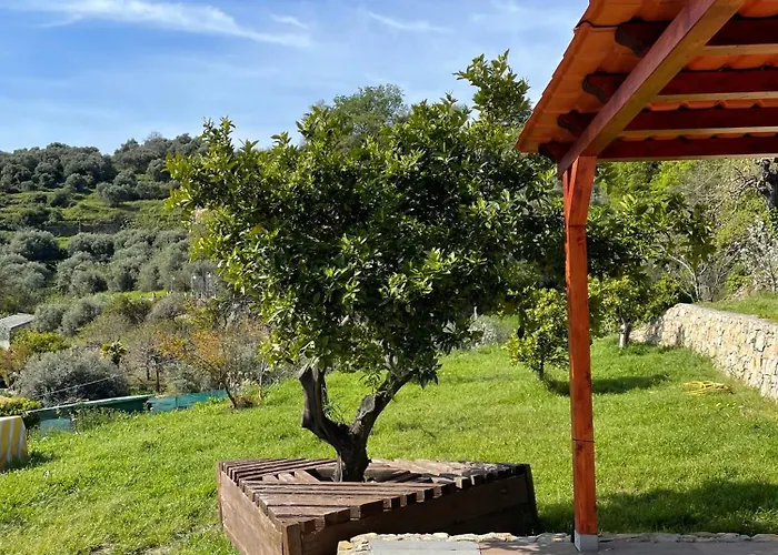 La Casa Dell\'Ulivo