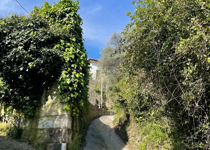 La Casa Dell\'Ulivo