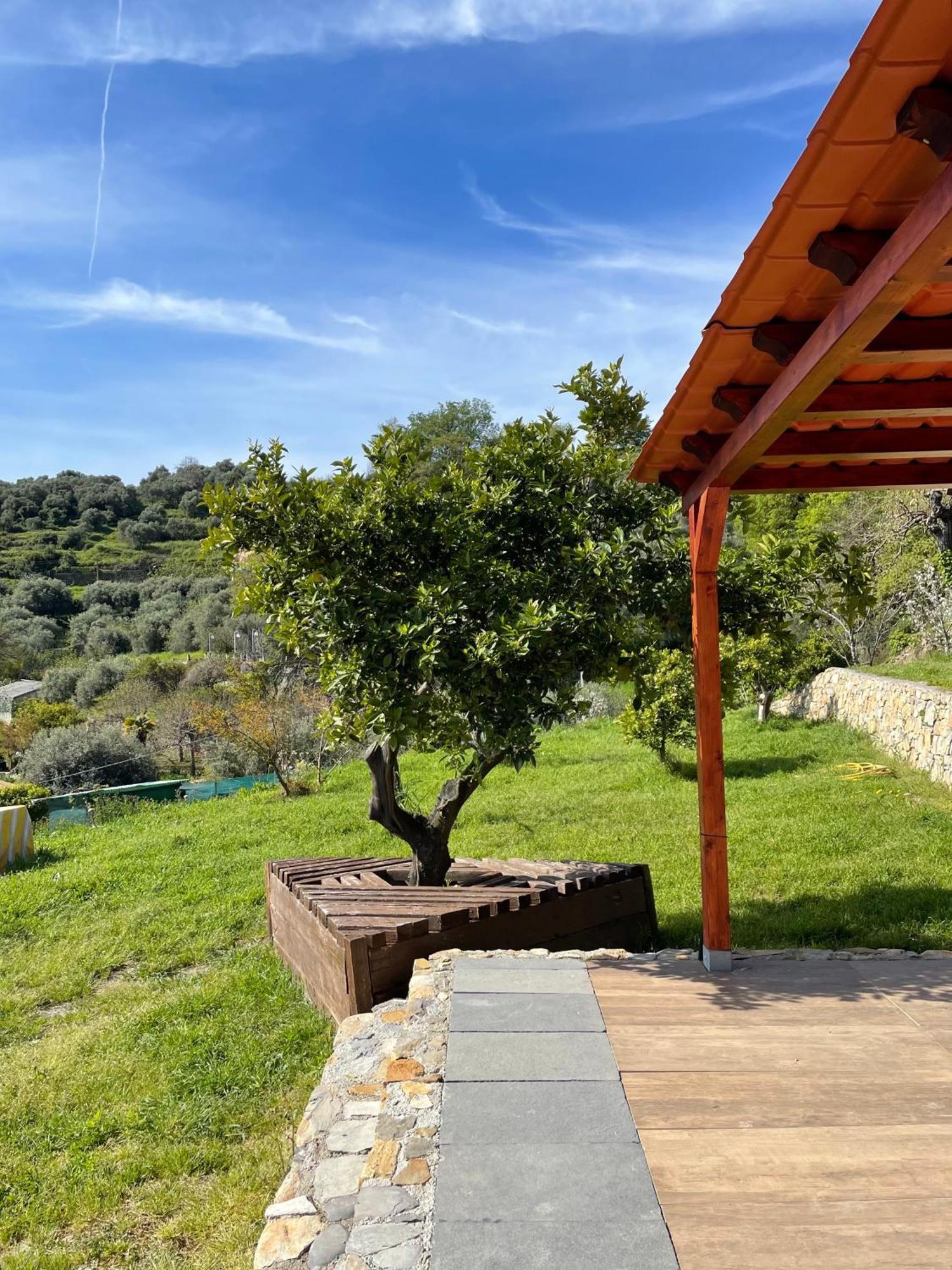 La Casa Dell'ulivo Holiday home