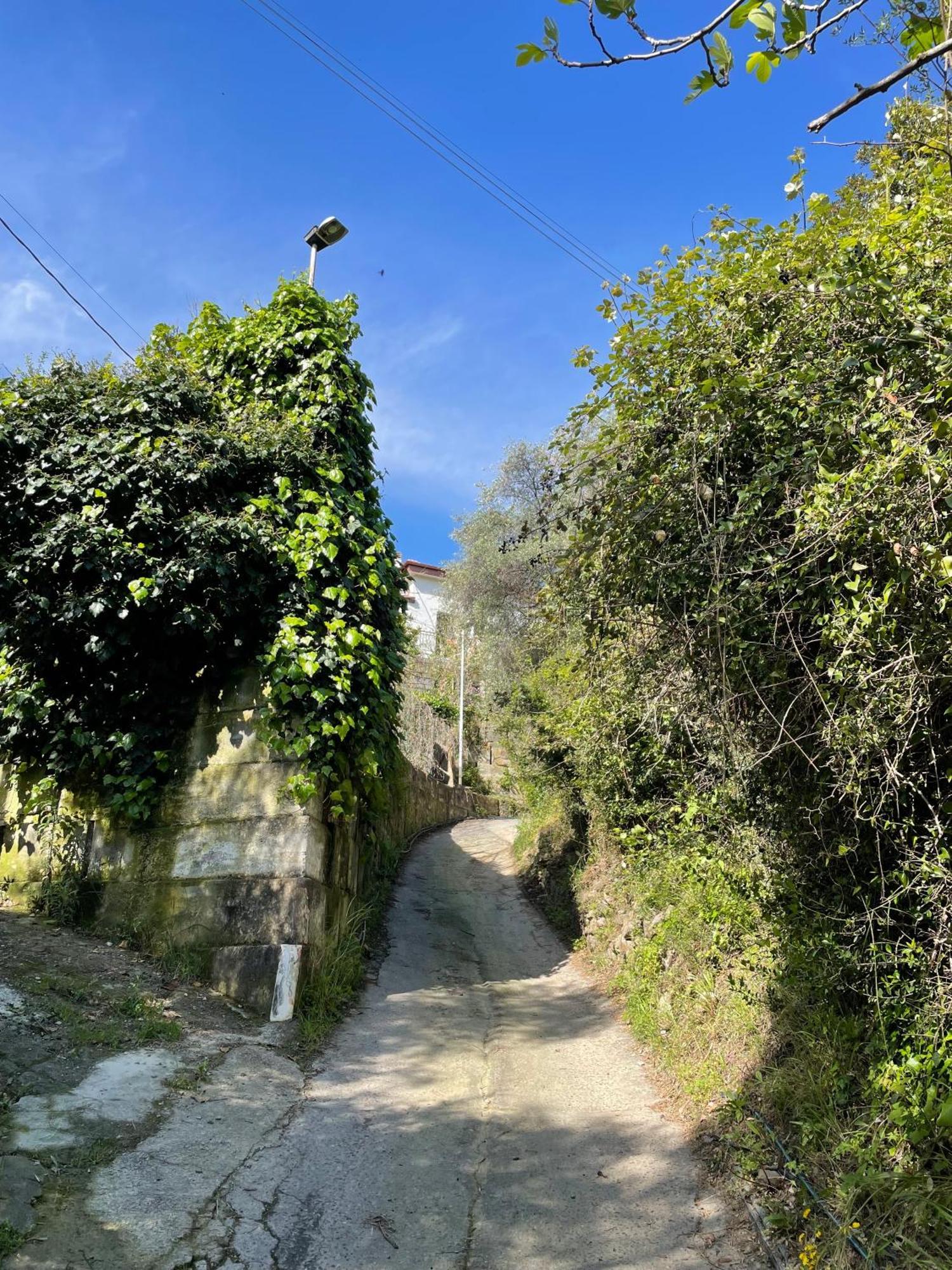La Casa Dell'ulivo *